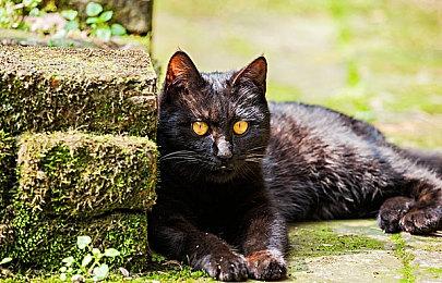 “喜加一”周报（8.1-8.7）：魂系无双两开花